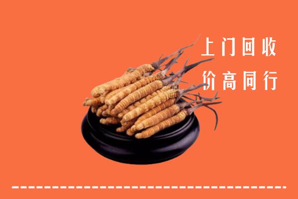 高价求购：黔西南州安龙回收散虫草