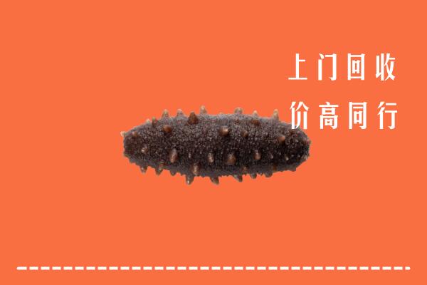 黔西南州安龙回收海参