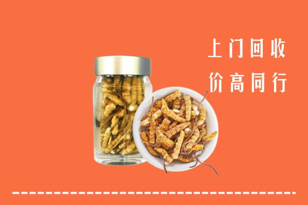 黔西南州安龙回收冬虫夏草